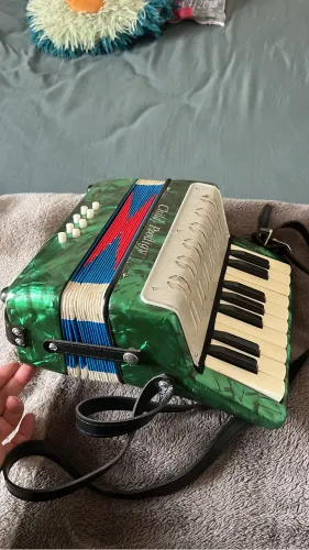 Sanfona Child Prodigy