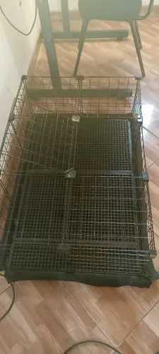 Gaiola para porquinho da Índia, coelho...