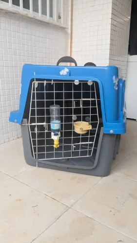 Caixa de transporte para animais (72x76x102) com bico bebedouro e pote de ração