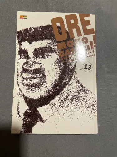 Mangá Ore Monogatari!!, Volume 13