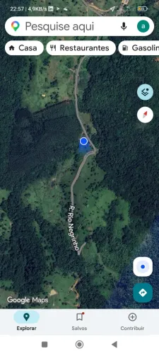 Vendo Floresta de eucalipto em pé 20.000 árvores