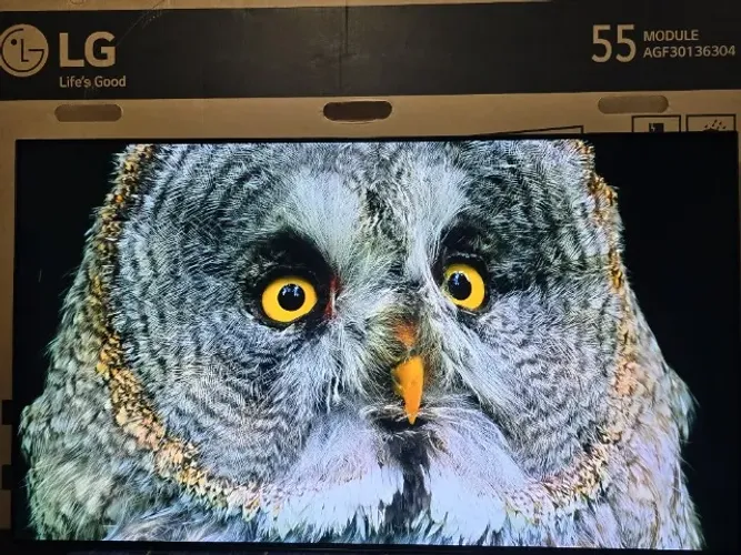 Smart TV 55 LG OLED55B3PSA Inteligência Artificial AI ThinQ