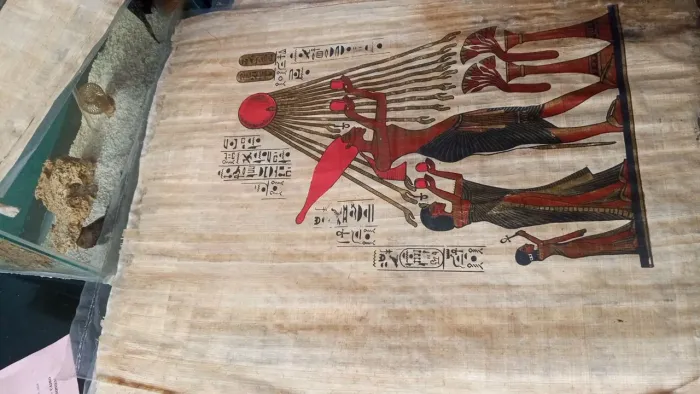 Tela para quadro em Papyrus Egípcio Antigo - Decoração de Parede