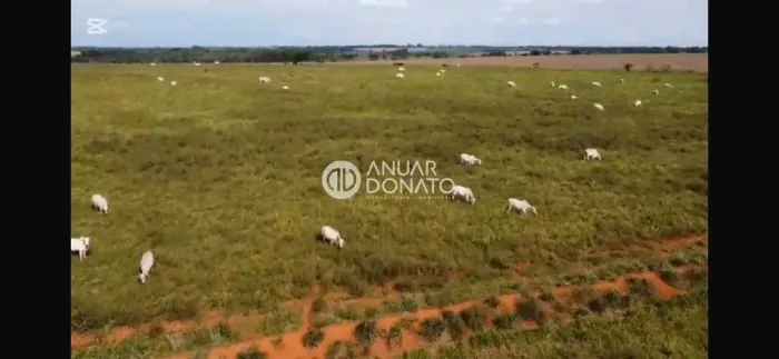 Fazenda Camargos | 490 Hectares | Luz - MG