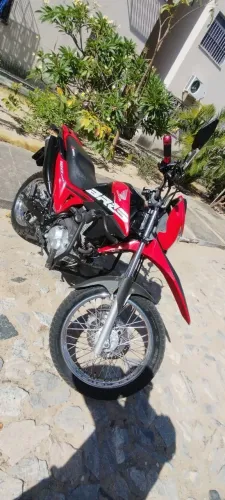 BROS  ESDD PARA EXIGENTES