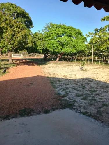 Vendo sítio com 5 hectares há 15 km de Altos, sentido Campo Maior. Maior.T