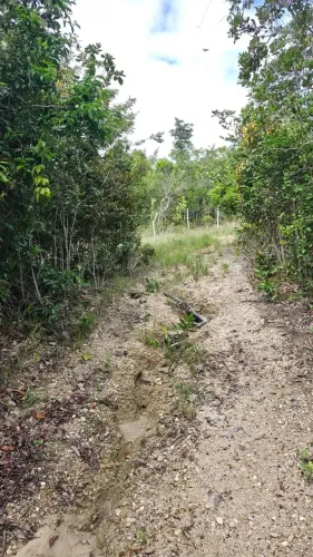 VENDO FAZENDA COM 937 TAREFAS EM PIRAMBU/SE, COM DOCUMENTAÇÃO TOTALMENTE REGULARIZADA