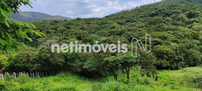 Venda Lote-Área-Terreno Zona Rural Moeda