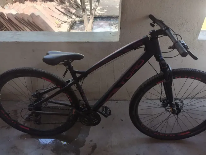 Bicicleta COLLI TORO