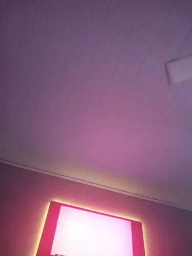 Marido de aluguel 