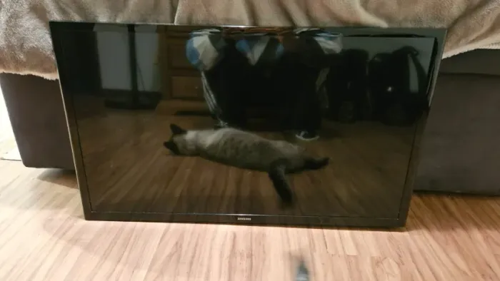 TV Samsung + Chromecast