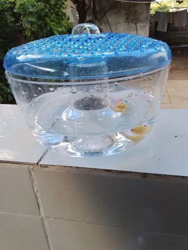 Aquário para peixe Betta. Em acrílico com tampa. Usado por pouco tempo.