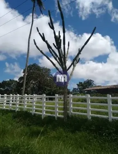SITIO A 18km de Campina