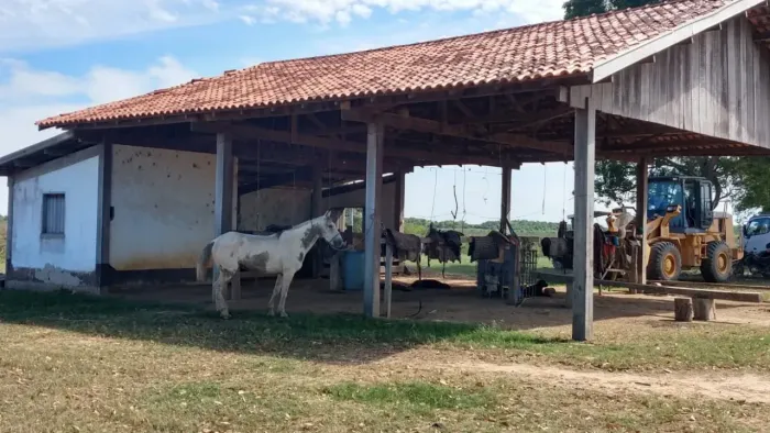 Execelente Fazenda no Municipio de Poconé