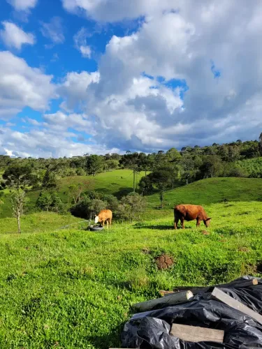 Terreno Rural à Venda de 2 hectares Urubici