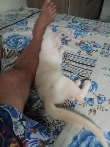Doação