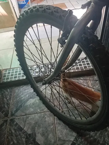 Com amortecedor no quadro. *