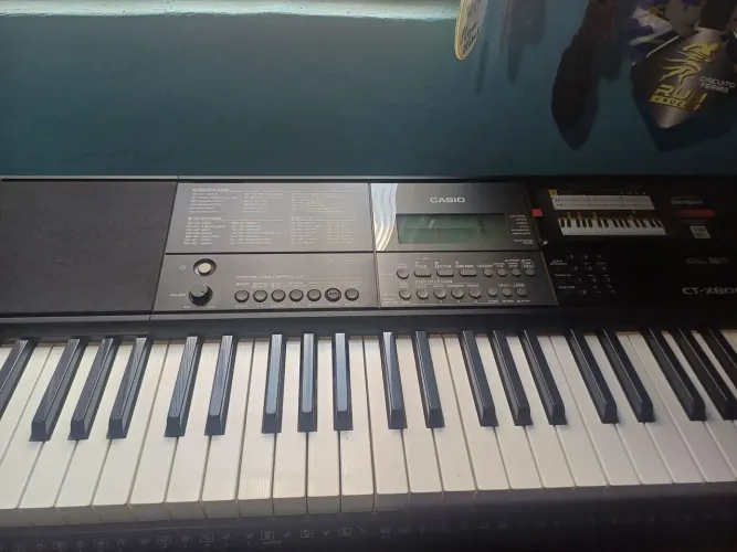 Teclado Musical CT-X800 Casio