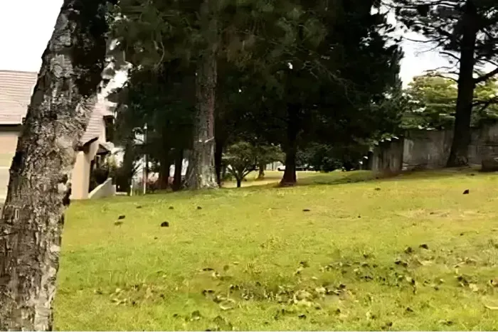 Terreno-Para Venda-Quadra 18 Alameda Jaguaraçu, Aldeia da Serra, Aldeia da Serra, Barueri,