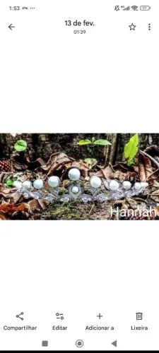 Tiara para noiva 006