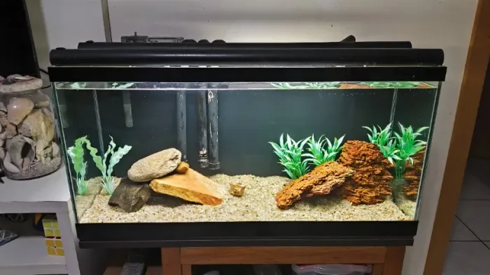 Aquário 97L com acessórios e móvel