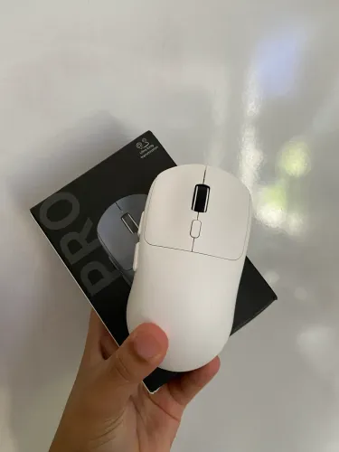 Mouse PRO