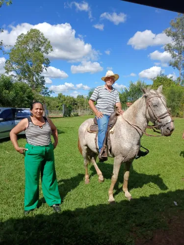 Vendo cavalo macha picada