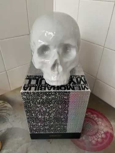 My skull