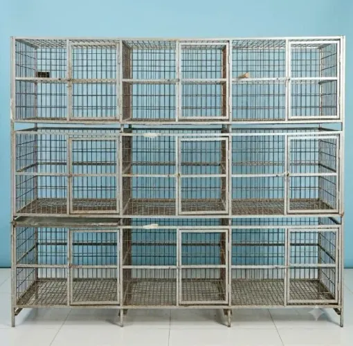 Gaiola para frango ou pet canil