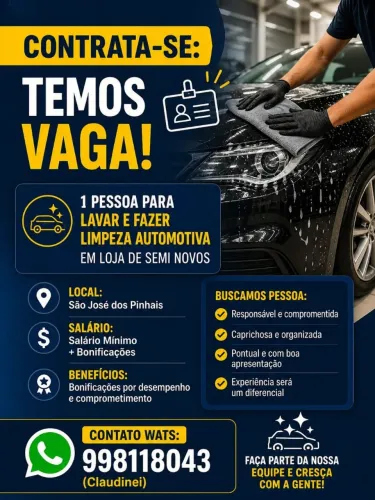 Limpeza automotiva.homem ou mulher