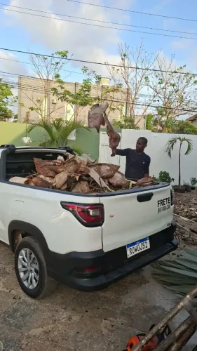 Capina corte de arvores e aplicação de veneno