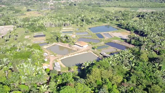 Sítio de Alto Padrão Produtivo: 8,9 Hectares com 34 Açudes e Laboratório de Piscicultura