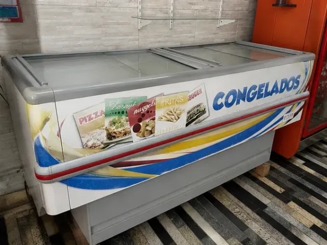 Freezer Expositor Polar 220V - Funcionando Perfeitamente | Usado