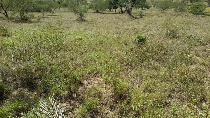 TERRENO À VENDA - DISTRITO DE MARIA QUITÉRIA