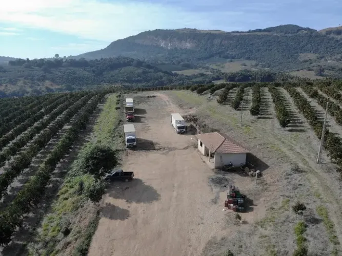 Fazenda sul de Minas