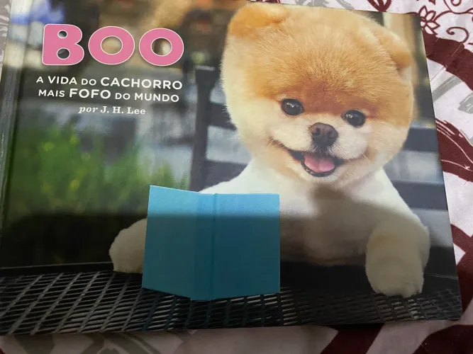 Libro do Boo o cachorro mais fofo do mundo