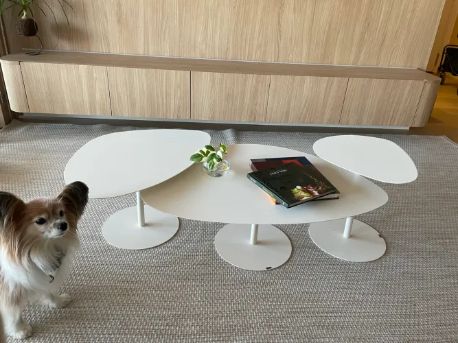 Conjunto de Mesa de Centro Orgânica