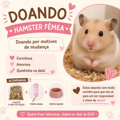 DOAÇÃO - HAMSTER FÊMEA