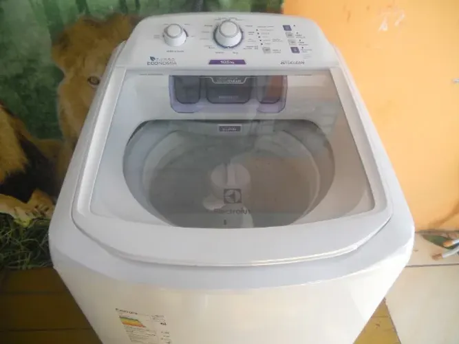 maquina de lavar Electrolux 110v.10kg