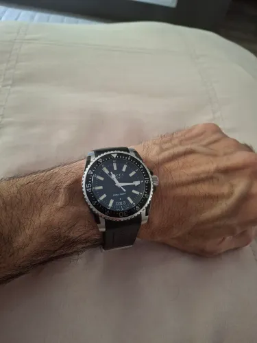 Gucci Dive