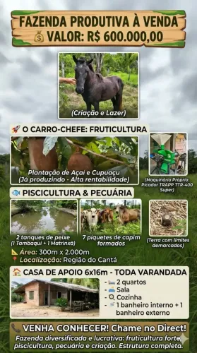 fazenda grande no canta