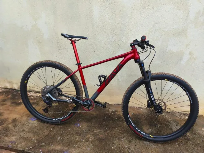 Bike Aro 29