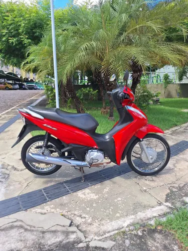 Biz 110 2024