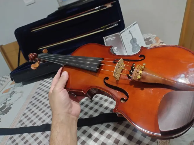 Violino Eagle VE-441 4/4 - Excelente Estado (Pronto para Tocar!)