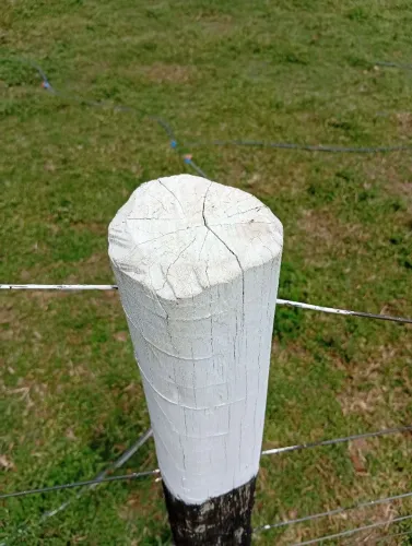 Ofereço meus trabalhos como caseiro