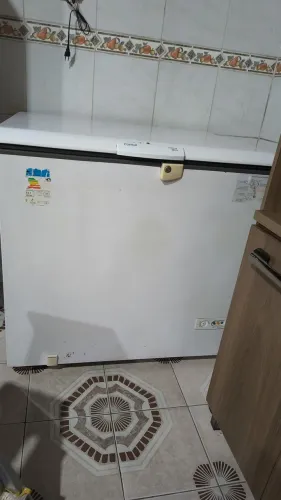 Freezer 309 litros