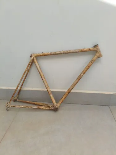 QUADRO CALOI 10