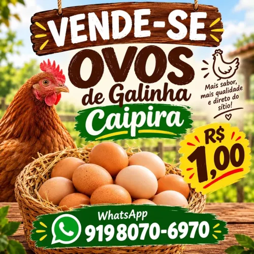 Vende-se ovos