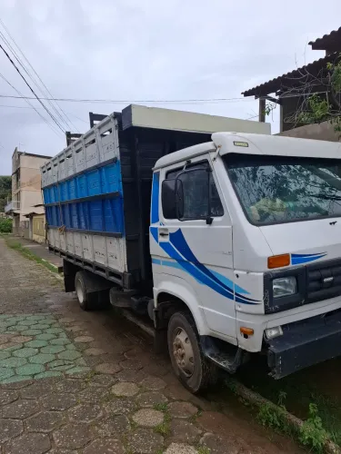 Caminhão boiadeiro