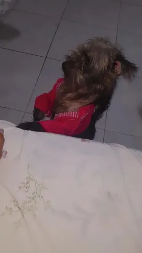 Ofereço meu serviço de babá 
